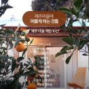 제주마을 네이버블로그