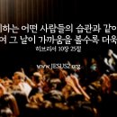 새일과새시대