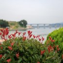 솔향기은빛바다펜션 이미지