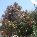 도구시장 이미지