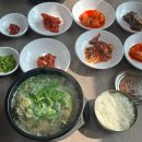 향촌식당 | 왕과 사는 남자>의 여운을 따라간 영월 여행, 현지인 추천 받은 [다슬기향촌 성호식당] 다슬기해장국 후기