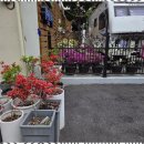 유달산의 아침 이미지