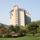 H9201 Daum카페