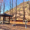 큰맘할매순대국 영월남면점 이미지