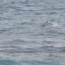 신영농원 이미지