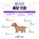 서울동물영상종양센터 이미지