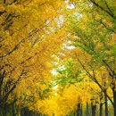 두정극동늘푸른아파트 이미지