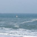 대송횟집 이미지