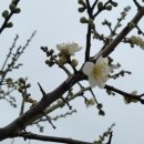 세컨드브레인 이미지