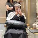 내방역 5번출구 뒤 | 도선 I 내방역 미용실 설하실장 원페를라 주민의 하이레이어드 펌 추천 후기