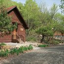 금산 자연 오토캠핑장 이미지