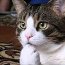 바다가쓴시 이미지