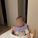 자인수산 | 줄즈 에어플러스 내돈내산 후기