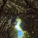 위미1리 | 제주 서귀포 가볼만한 곳 한반도 포토존 올레길 걷기 5코스 6코스 쇠소깍