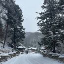 정암사 | [강원도]눈 내리는 강원도 &#39;정암사&#39;겨울 여행 후기❄️ 🏔️