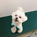 늘빛나 이미지