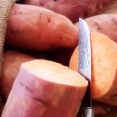 밤나무골 농장 이미지