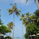 라하 헤어 | 몰디브여행 마지막 6일차: 체크아웃&amp;객실 즐기기, 라하마켓 조식, 수상비행기 타고 말레공항도착, 말레...