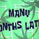 크린토피아 세탁소 이미지