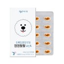 멍멍대학 이미지