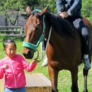 속사초등학교 이미지