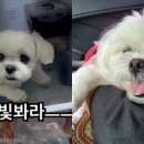 고집불통 이미지