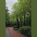 바코 메드 | [공지] 스피노메드 사용후기에 대하여 그리고 저희 회사는 바코메드입니다