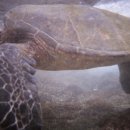 천연비누 이미지