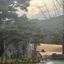 샬롬주유소 이미지