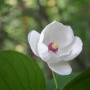 자뭇골두위봉입구 이미지