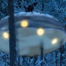 나무호텔 이미지