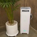 스테이느으린 이미지