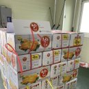 상주원예농협 | 성주 참외 직거래 후기 [게르마늄참외]