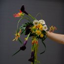Formal linear Bouquet 이미지