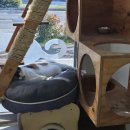 포항중앙동물병원 이미지