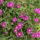 하모니통나무집 이미지