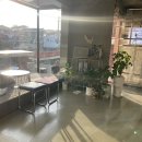 용운초등학교 | 대전 용운동 카페 ‘신이내린오후’｜자연광 미친 주택개조 감성카페