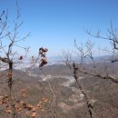 전주대성초등학교 이미지