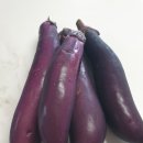 가지무침, 맛있게하는 레시피 아세요? 이미지