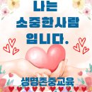 존중 | 전교생 생명존중교육 후기:참여형 수업으로 아이들이 달라진 순간