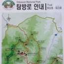 제547차 산행 오대호령봉과비로봉의 우중산행 이미지