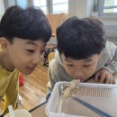 상서초등학교 이미지