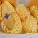 써봐조아 이미지