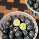 달코미상회 이미지