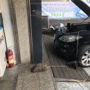 새한크리닝 이미지