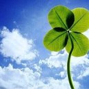 행복한사람들 이미지