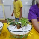 대구효령초등학교 이미지