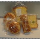 유니덴트 이미지