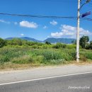 모정추어탕 | 경기 포천 추어탕뿐만아니라 삼계탕도 맛있는 맛집 모정추어탕