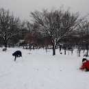 신암공원 이미지